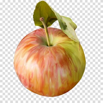 Food Drawing Vegetable Fruit, vegetable transparent background PNG clipart