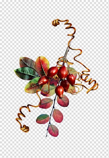 Food Fruit Plant, autumn transparent background PNG clipart