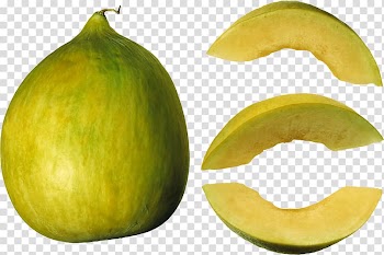 Food Galia melon Cantaloupe Fruit, melon transparent background PNG clipart