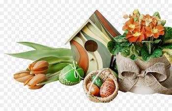 food garnish food group cuisine plant