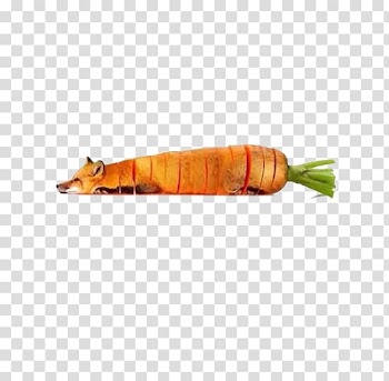 Food Hybrid fruit Animal, Creative Vegetable Design transparent background PNG clipart