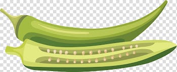 Food Illustration, vegetables transparent background PNG clipart