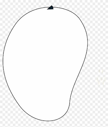 Food Mango Fruit Mango Fruit Black White Line Art 999px - Illustration