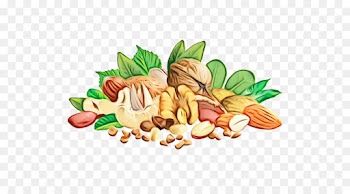 food natural foods cuisine ingredient food group