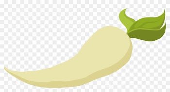 Food Parsnip - Scalable Vector Graphics