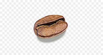 food plant beige bean peanut
