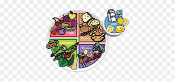Food Plate Fun Pass Worksheet - Food Plate