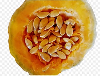 food pumpkin seed ingredient cuisine dish