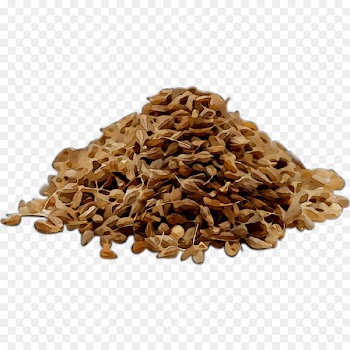 Food Pumpkin seed Tamari Cereal germ All Blues Wildflower Seeds Bulk 1/4 Pound Bag -  