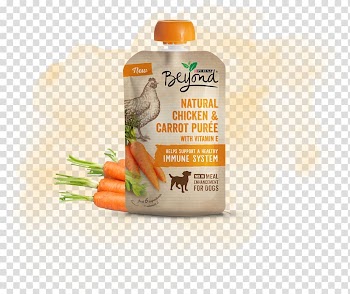 Food Purée Dog Apple sauce Oatmeal, Dog transparent background PNG clipart