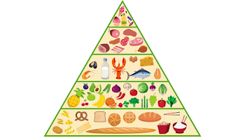 Food Pyramid Nutrition Animation Motion Background - Storyblocks Video