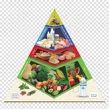 Food pyramid Paleolithic diet Health Vegetable, food pyramid transparent background PNG clipart