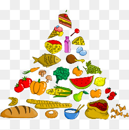 Food Pyramid Png (95+ images in Collection) Page 3