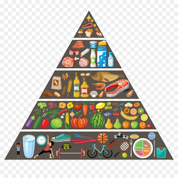 food pyramid png download - 1024*1024 - Free Transparent Nutrient ...