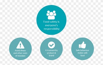 Food Safety Is Everyone's Responsibility - Food Safety