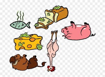 Food Spoilage Reminder Magnets By Chesney - Food