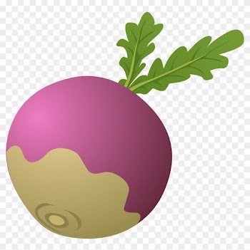 Food Turnip - Clip Art Turnip