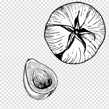 Food Vegetable Ingredient Dish Meal, Delicate line drawing vegetables transparent background PNG clipart