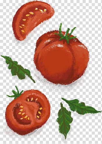 Food Vegetarian cuisine Vegetable Garnish Tomato, creative food transparent background PNG clipart