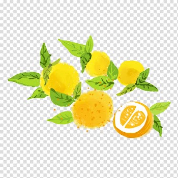 Food Watercolor painting Poster, orange transparent background PNG clipart
