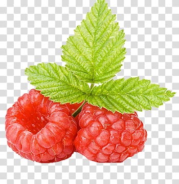 Foods, two raspberry fruits transparent background PNG clipart