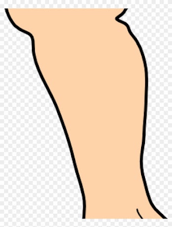 Foot Clipart Foot Feet Clip Art Free Clipart Image - Foot Clipart Foot Feet Clip Art Free Clipart Image