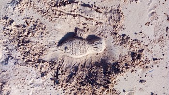Foot Print on Sea Sand