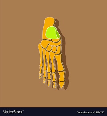 Foot skeleton paper sticker on stylish background vector image