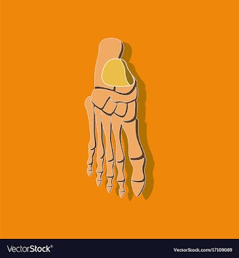 Foot skeleton paper sticker on stylish background vector image