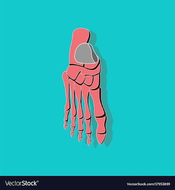Foot skeleton paper sticker on stylish background vector image