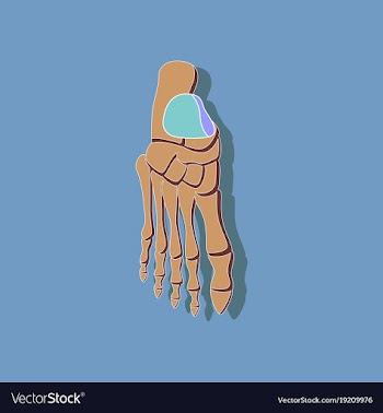 Foot skeleton paper sticker on stylish background vector image