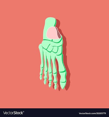 Foot skeleton paper sticker on stylish background vector image