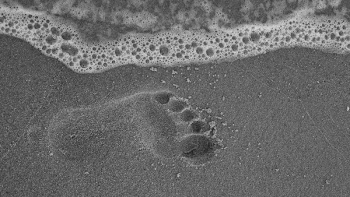 Foot Stepson Grey Sands With Waters Nearing It