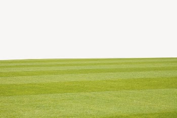 Football grass field border, sport | Free PSD - rawpixel