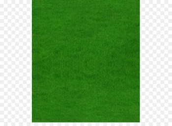 Football pitch American football field Stadium - grass 