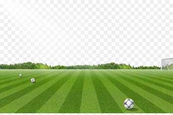 Football pitch Lawn - Football field pattern 