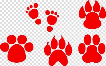 Footprint Animal track, Animal footprints transparent background PNG clipart