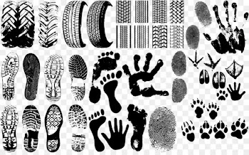 Footprint Clip art - Footprints vector clip art stamp 