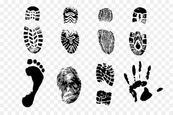 Footprint Euclidean vector - Footprints vector 