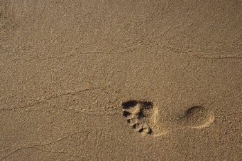 Footprint on Sand