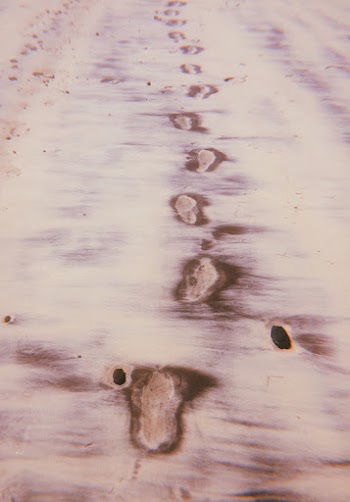 Footprints