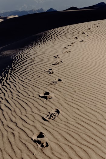 Footprints on Brown Sand