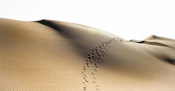Footprints on Sand
