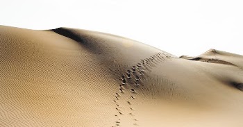Footprints on Sand