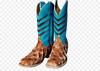 footwear boot turquoise cowboy boot shoe