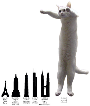 For I Will Consider the LOL Cat by Stephanie Brown - The Best ...