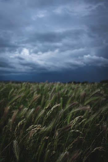 For more pictures: instagram.com/_blrguillaume
 | contact: bleyerguillaume@gmail.com
