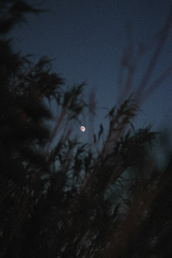 For more pictures: instagram.com/_blrguillaume
| contact: bleyerguillaume@gmail.com



