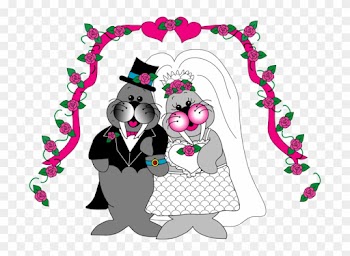 For The Words To The Willie And Wanda Song, Just Click - Frog Street Press Willie And Wanda