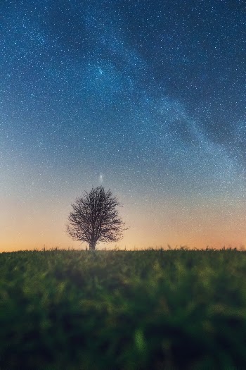 For this shot I went outside during a pretty cold night. I had a good friend with me and also some tea to keep us warm. We couldn’t stay under the starrysky until the core of the milkyway was rising, but the time that I spend outside at night is worth it every single time!